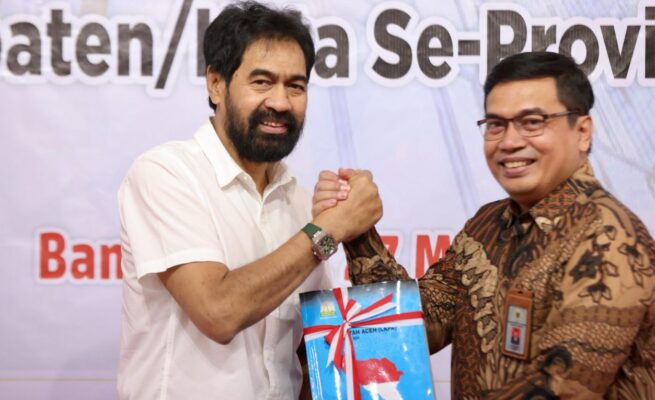 Gubernur mualem