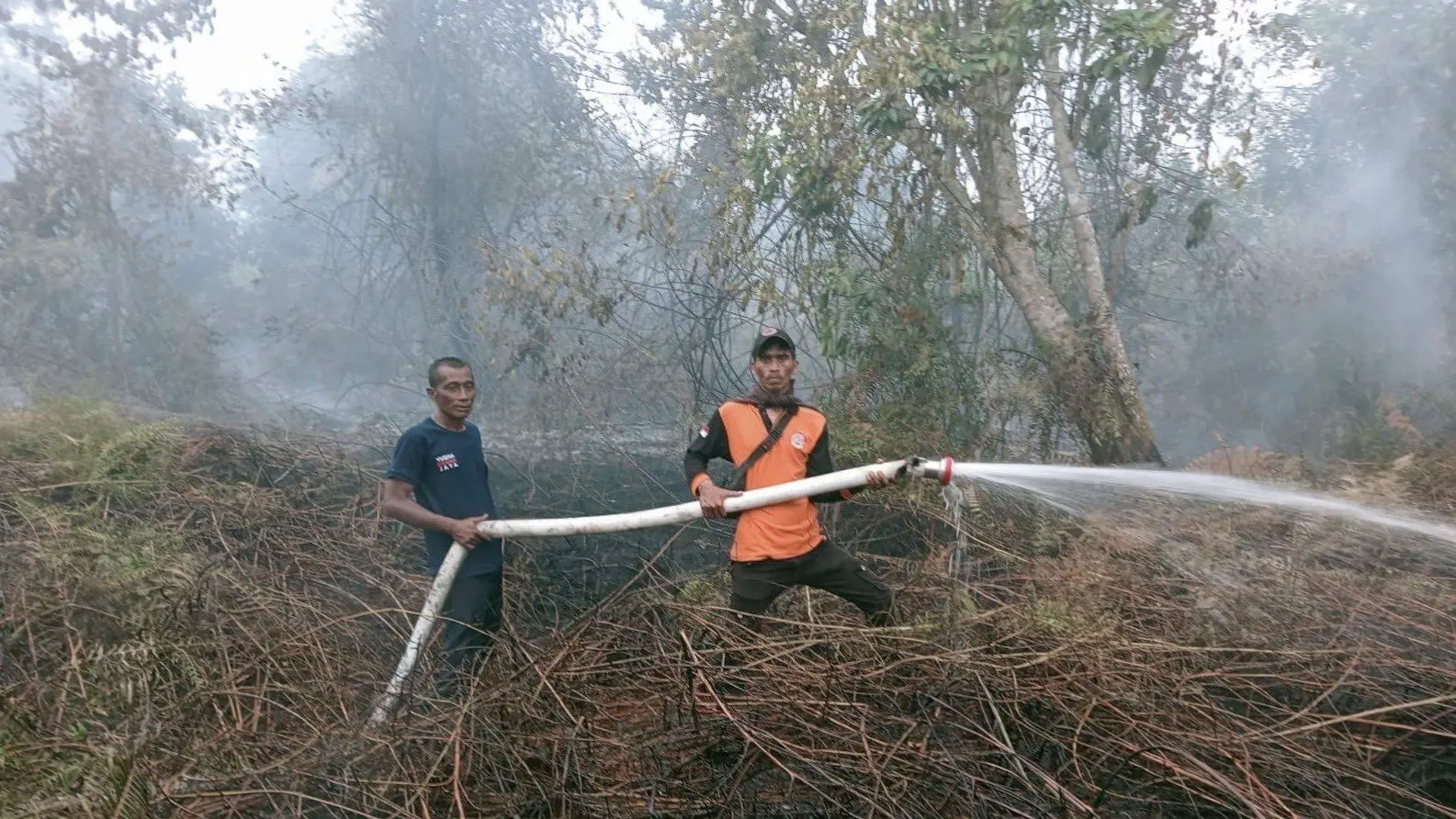 kebakaran aceh barat Kebakaran Lahan Gambut di Aceh Barat, 2 Hektar Terbakar dan Upaya Pemadaman Masih Berlangsung