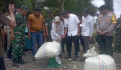 panen raya serentak abdya