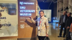 Pulau-Pulau ‘Tergelincir’ ke Sumut, Prof Ishak Hasan: Ini Pelajaran Pahit dari Lemahnya Komunikasi Pemerintah Aceh