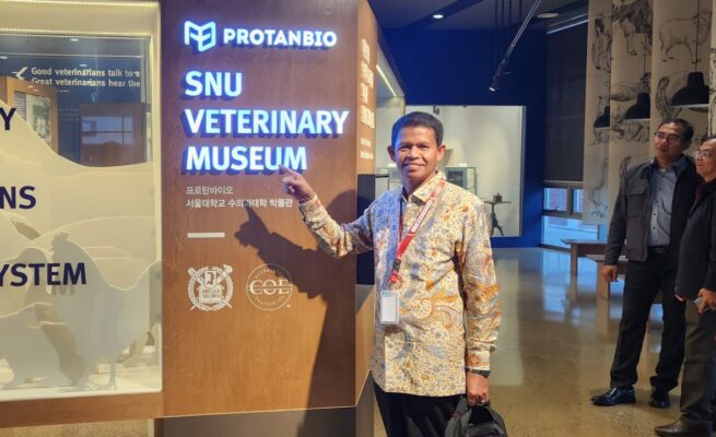 Pulau-Pulau ‘Tergelincir’ ke Sumut, Prof Ishak Hasan: Ini Pelajaran Pahit dari Lemahnya Komunikasi Pemerintah Aceh