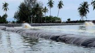 budidaya tambak rakyat di Abdya