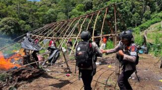 25 Hektare Ladang Ganja di Nagan Raya Dibongkar, 2 Pelaku Masuk DPO