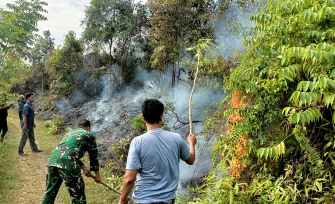 Kebakaran Lahan di Gunung Cut Abdya, TNI dan Warga Bergerak Cepat Padamkan Api