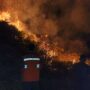 Kebakaran Lahan di Aceh Selatan, Dua Hektare Hutan Terbakar