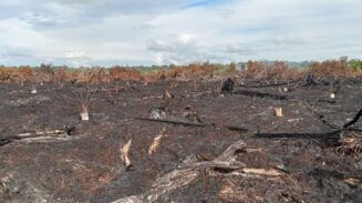 Kebakaran Lahan 5,5 Hektare di Nagan Raya Berhasil Dipadamkan, Warga Diimbau Waspada