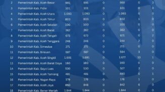 Data Terbaru NIPPPK: 24.936 Usulan dari 24 Instansi di Aceh Sudah Diproses BKN