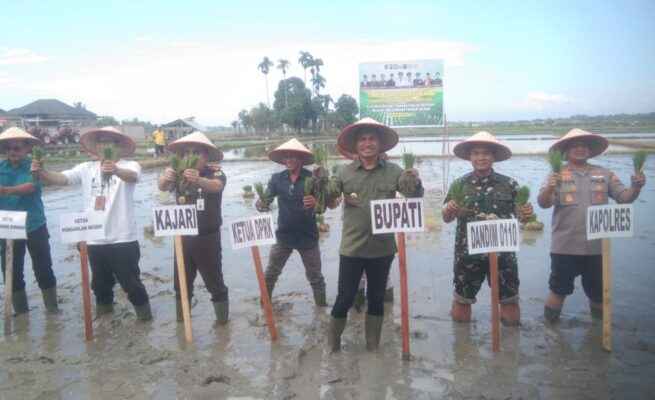 Bupati Safaruddin Ajak Petani Mantapkan Ketahanan Pangan Lewat Tanam Serentak