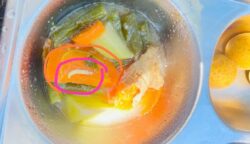 Sayur Berulat di Menu Makanan Bergizi Gratis, Warga Abdya Pertanyakan Pengawasan Program