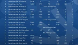 Update NIPPPK Aceh: 25 Ribu Formasi Sudah Disetujui, Sebagian Masih Proses di BKN