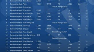 Update NIPPPK Aceh: 25 Ribu Formasi Sudah Disetujui, Sebagian Masih Proses di BKN