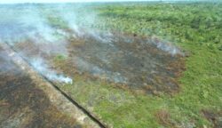 0,7 Hektare Lahan Terbakar di Suak Raya Aceh Barat, BPBD Dikerahkan ke Lokasi