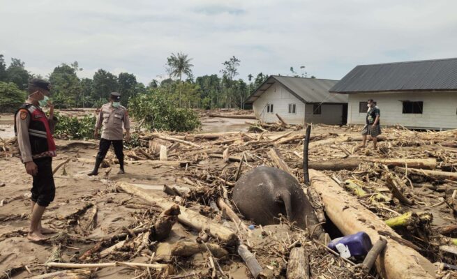 Korban Banjir Aceh Renggut 35 Nyawa, 25 orang Dinyatakan Hilang