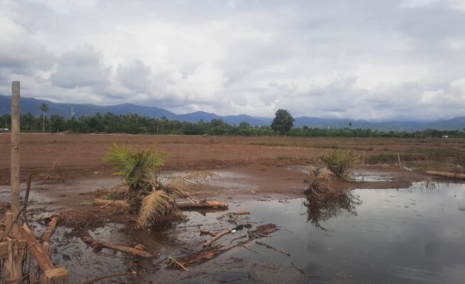 20 Hektare Sawah di Abdya Rusak Diterjang Banjir, Petani Minta Pemerintah Bangun Tanggul