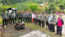 Operasi Gabungan Tertibkan 18,5 Hektare Sawit Ilegal di Hutan Abdya
