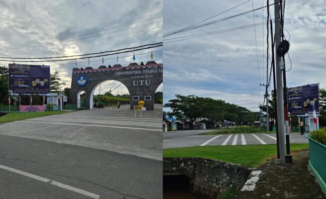 Rektor UTU Kritik Penataan Jaringan Telkom dan PLN yang Dinilai Merusak Estetika Publik