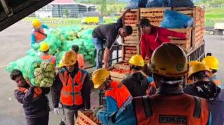 Akses Darat Masih Terputus, Hasil Panen Cabai Petani Bener Meriah Diangkut Pesawat Hercules TNI AU