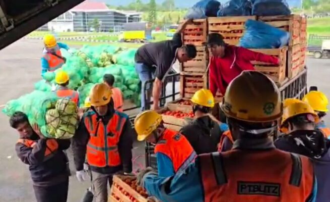 Akses Darat Masih Terputus, Hasil Panen Cabai Petani Bener Meriah Diangkut Pesawat Hercules TNI AU