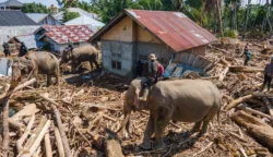 Potret Banjir dan Longsor di 18 Kabupaten/Kota di Aceh