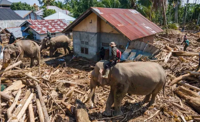 Potret Banjir dan Longsor di 18 Kabupaten/Kota di Aceh