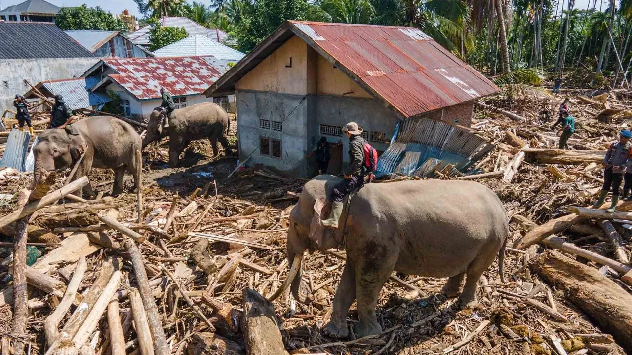 Potret Banjir dan Longsor di 18 Kabupaten/Kota di Aceh
