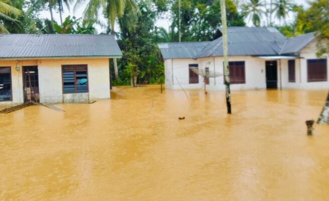 Sungai Tangan-Tangan Meluap, Enam Gampong di Abdya Terendam Banjir