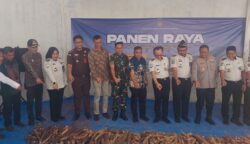 Ikut Panen Raya Nasional, Lapas Kelas IIB Blangpidie Lampaui Target Produksi Singkong