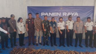 Ikut Panen Raya Nasional, Lapas Kelas IIB Blangpidie Lampaui Target Produksi Singkong