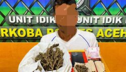 Polres Abdya Tangkap Warga Cot Jeurat Terkait Dugaan Penyalahgunaan Ganja