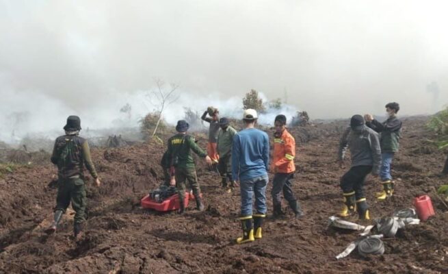Karhutla Hanguskan 15 Hektare Lahan di Aceh Barat, Satu Sekolah Terpaksa Diliburkan